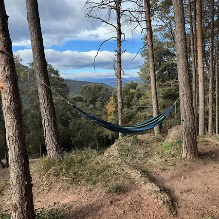 Alpehytte Cabanita De Madera En Mas Coguleras Sant Jaume de Llierca