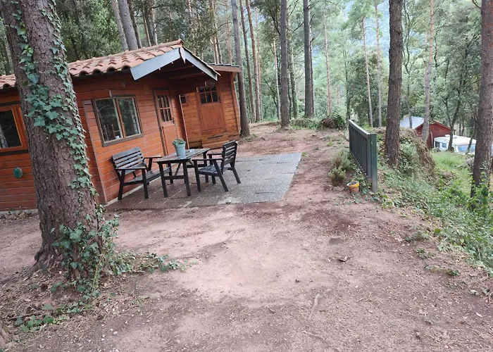 Cabanita De Madera En Mas Coguleras Camping