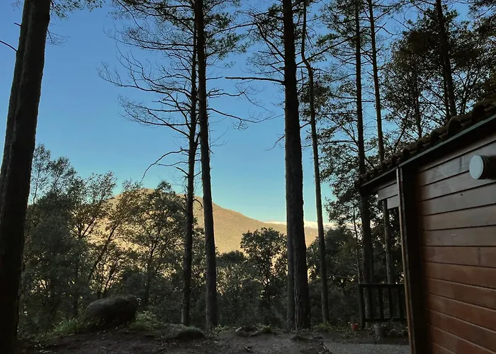 Cabanita De Madera En Mas Coguleras Camping